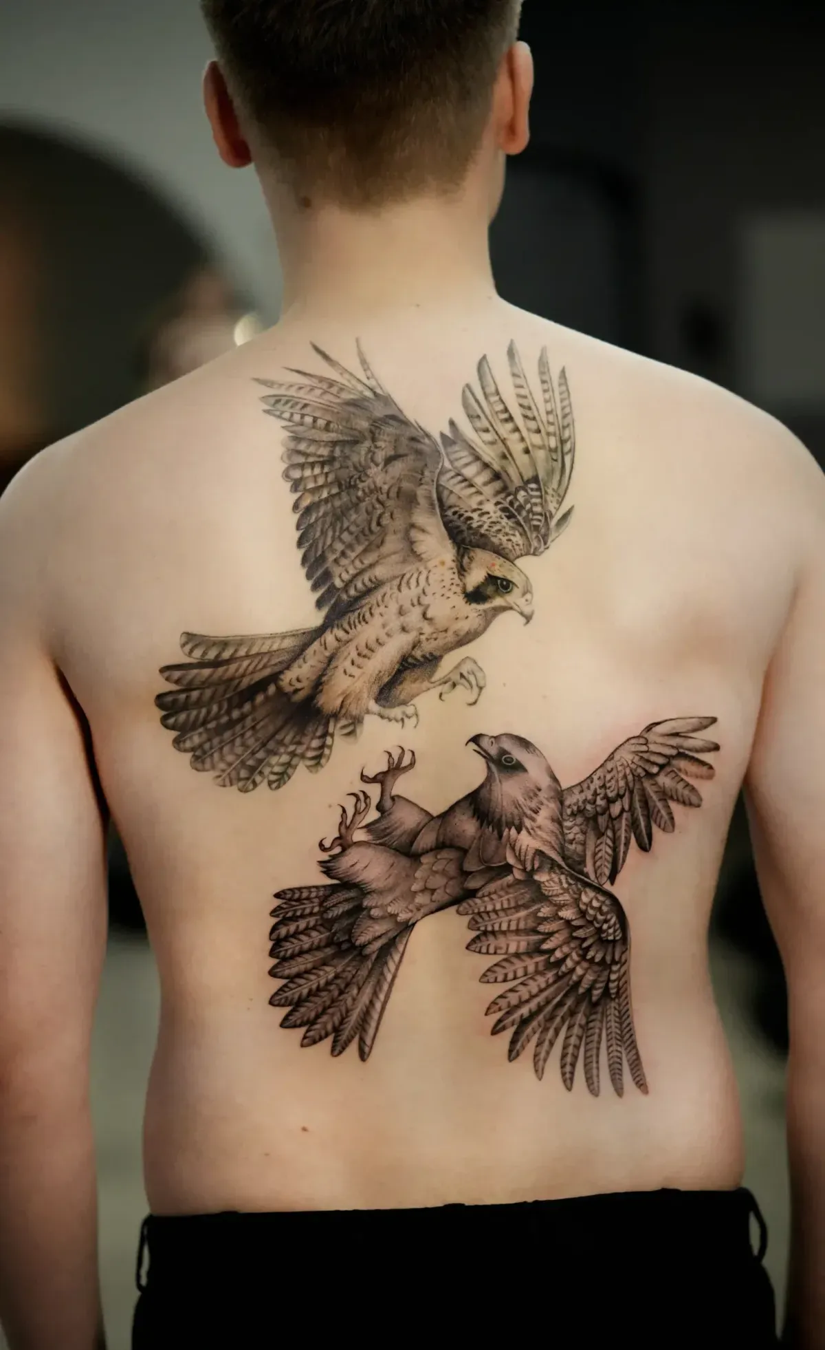 Realismus Tattoo: zwei Greifvögel im Flug in Schwarz-Grau über den ganzen Rücken