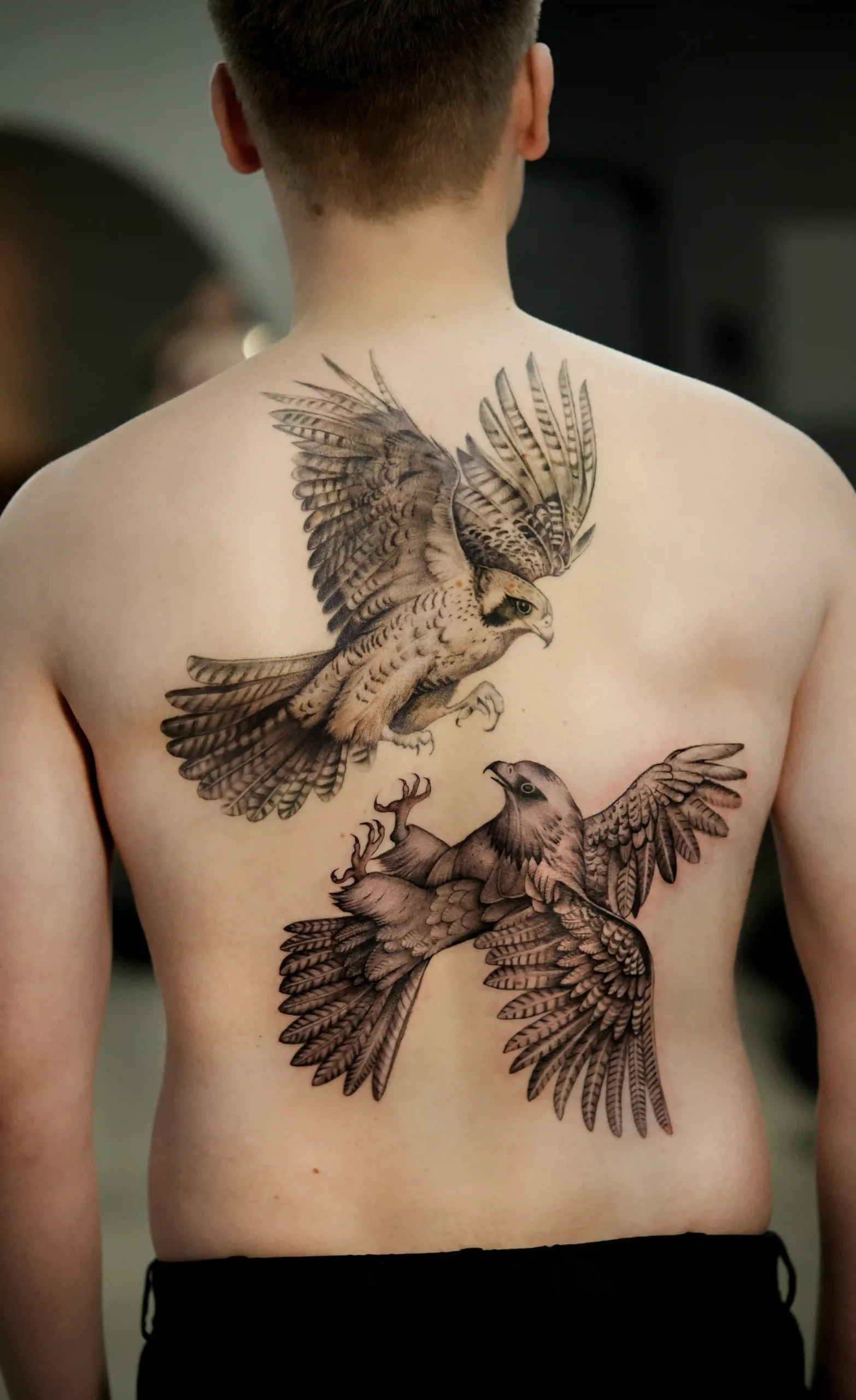 realism bird tattoo hawk oek whoisoek microrealism fineline