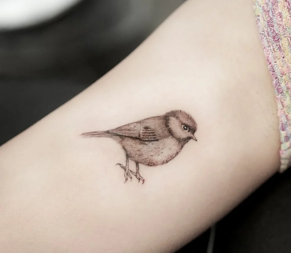 microrealism black and grey fineline bird tattoo